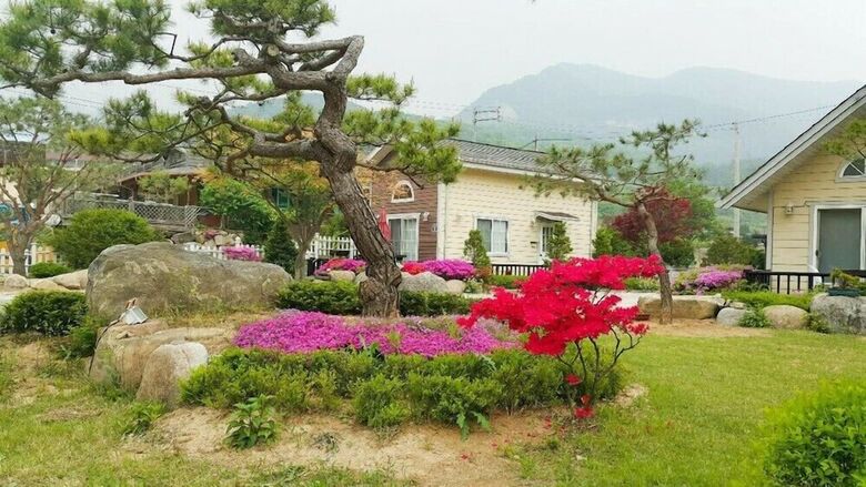 Forest Pension