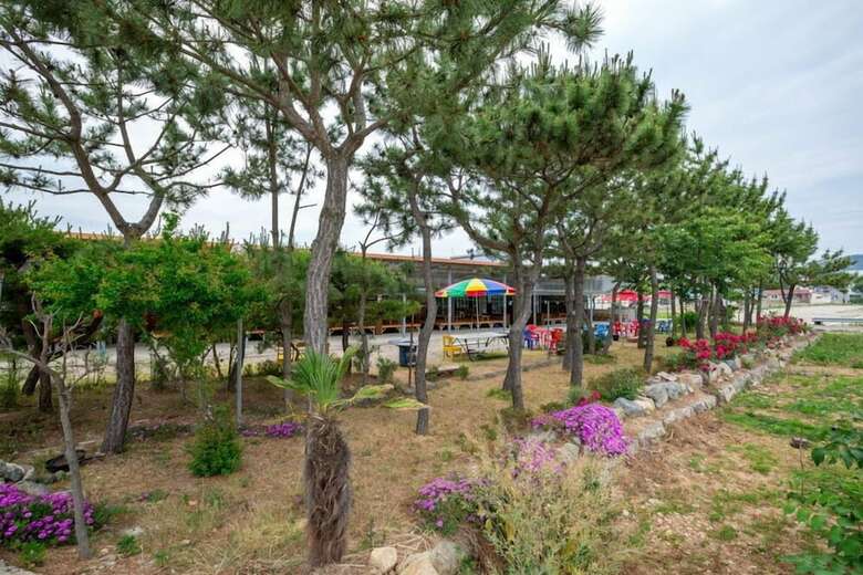 Sonamu Pension