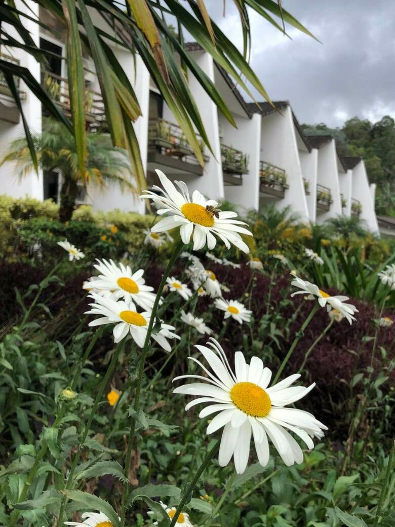 Hotel Ladera