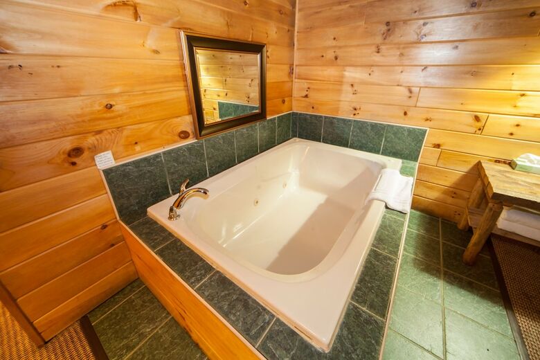Motel Log Cabin Lodge & Suites