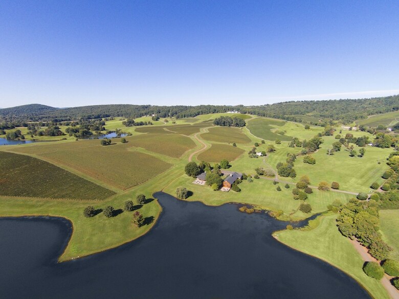 Hotel Albemarle Estate At Trump Winery