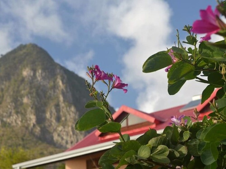Hotel Tet Rouge Resort St. Lucia