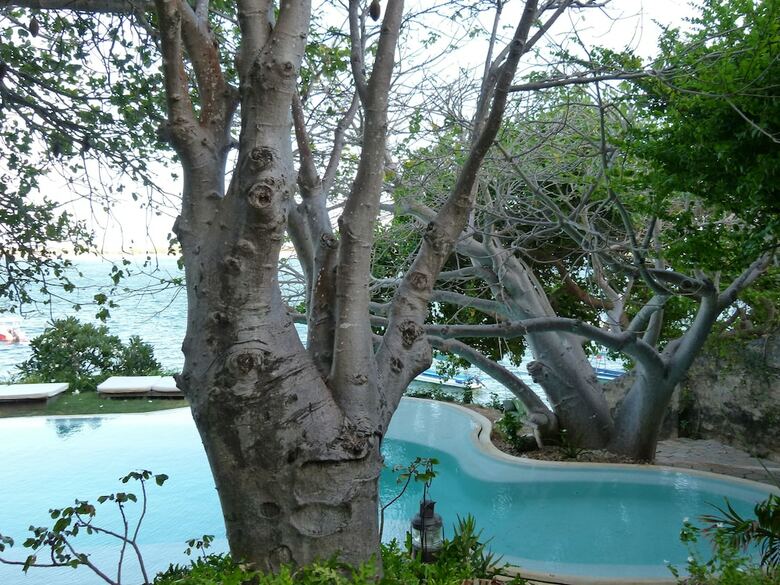 Peponi Hotel