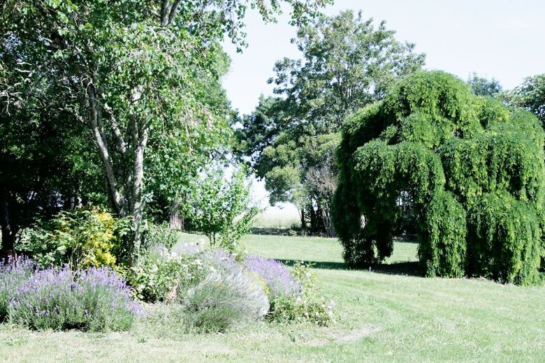 Ch�teau De Panisseau