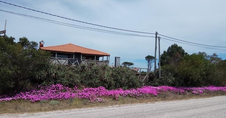 Hotel Nudista Naturista El Refugio