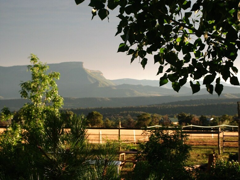 Starry Nights Ranch Bed & Breakfast