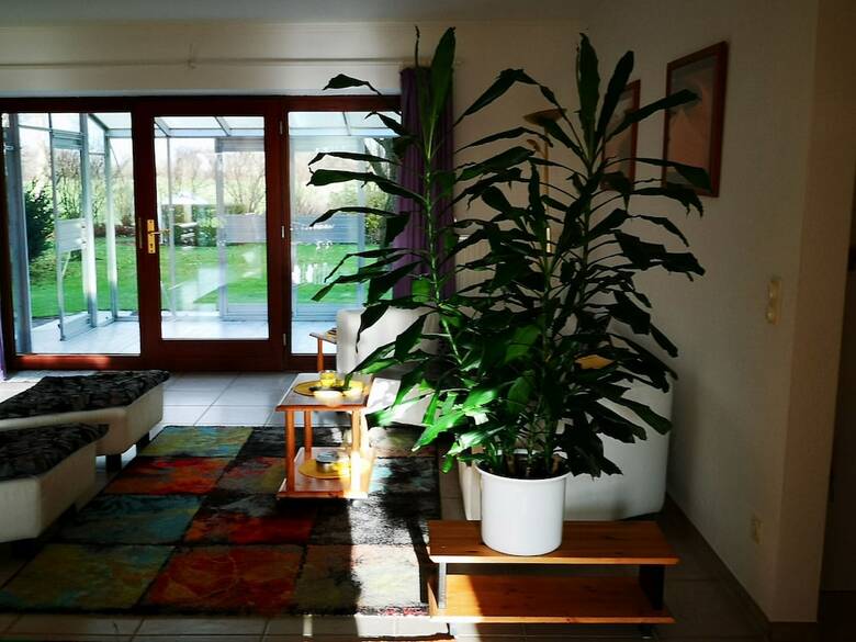 Apartamentos T�pferhaus Und Ferienwohnung Steinberg