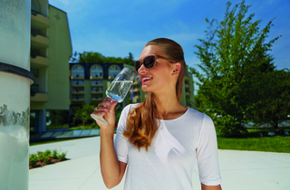 Grand Hotel Sava