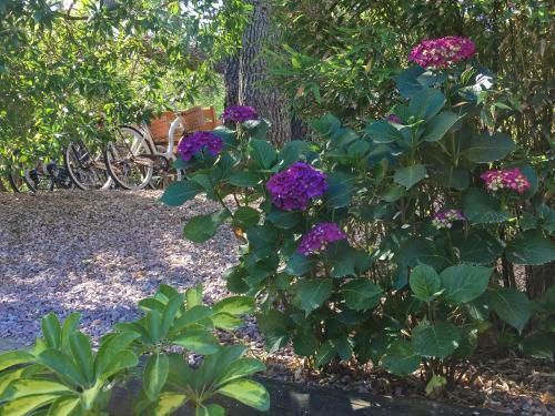 Bed & Breakfast La Atrevida