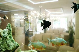 Hotel Harmony Suites 8 & 9