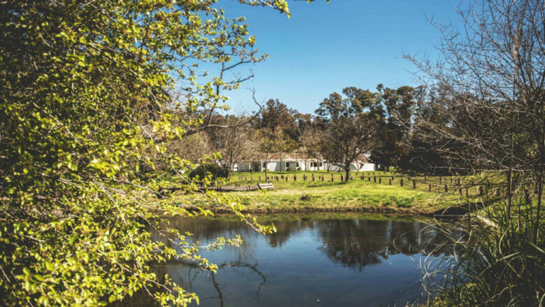 Hotel Posada Mendoza By Dot Tradition