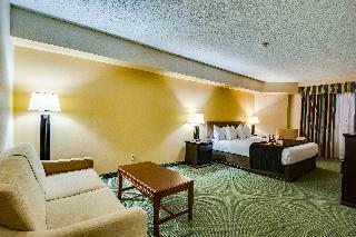 Hotel Sawridge Inn And Conference Centre Edmonton South