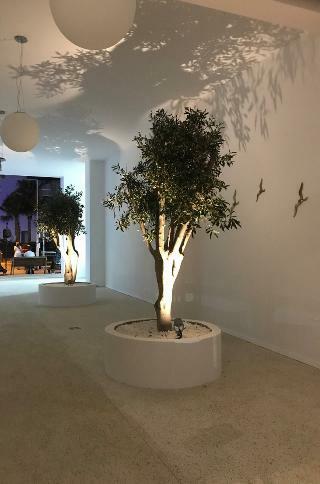 Hotel Boutique Abacus Suites
