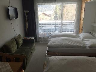 Hotel H�tel Des Alpes