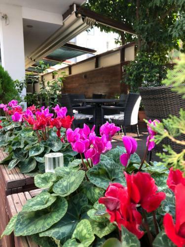 Riva Resatbey Boutique&business Hotel