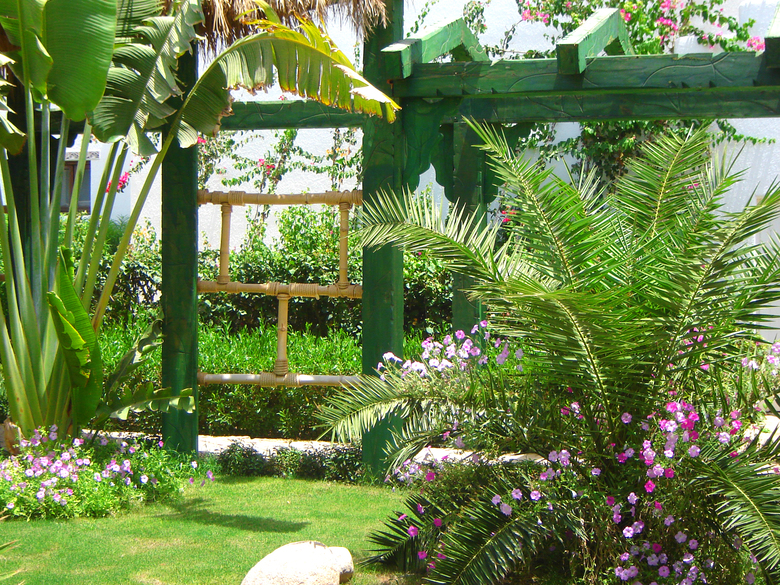 Hotel Delta Sharm Resort