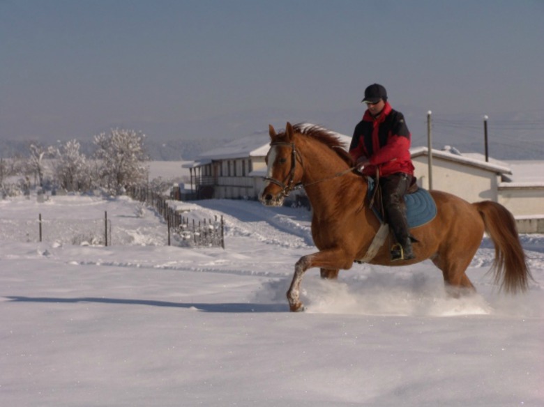 Hotel Balkan Jewel Resort & Chalets