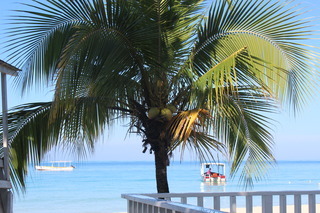 Hotel Zanzi Beach Resort
