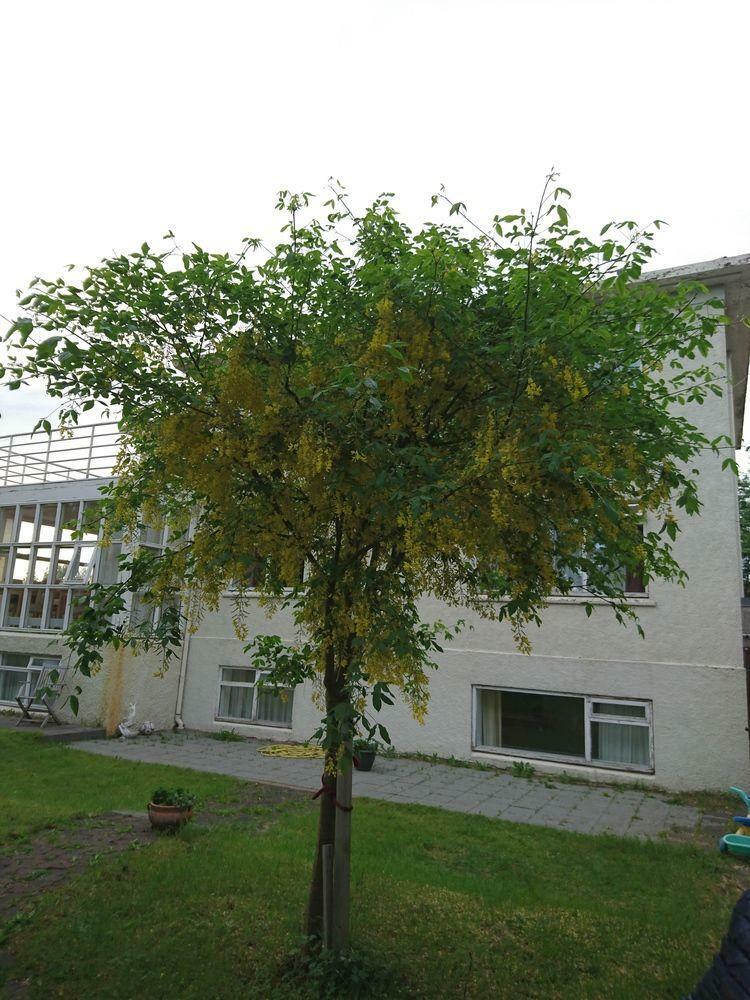 Hotel Alba Guesthouse