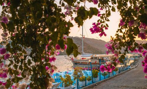 Bed & Breakfast Anfora Hotel