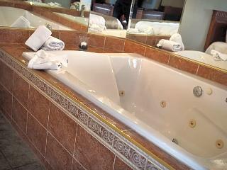 Hotel Suites Les Laurentides Saiint Sauveur