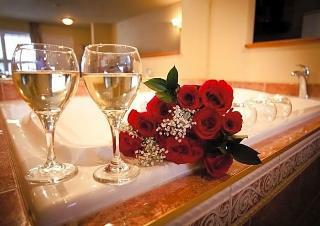 Hotel Suites Les Laurentides Saiint Sauveur