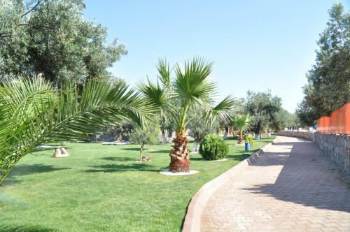 Assos Park Hotel