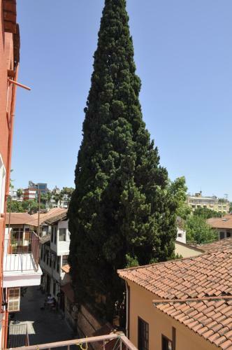 Hotel Erkal Pension