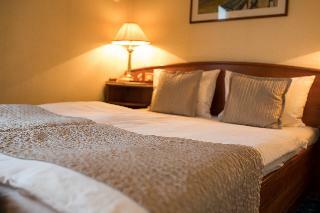 Onriver Hotels - Ms Cezanne
