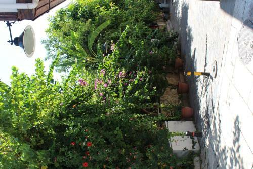 Hotel Lazer Pension