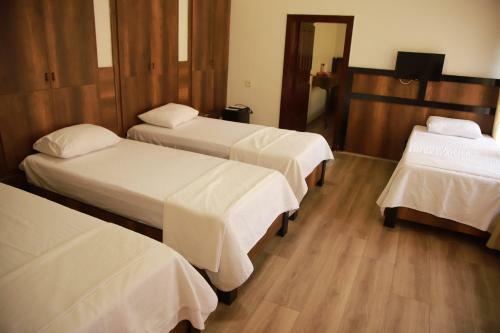 Hostal Aslan Guest House