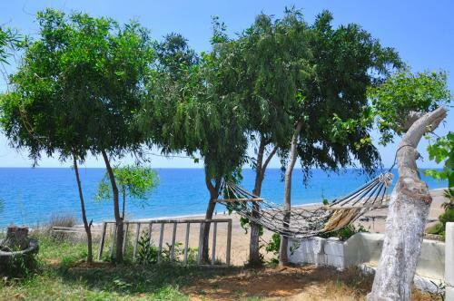 Mavi Cennet Camping&pansiyon