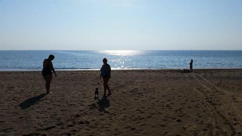 Motel Hotel Sch�nberg