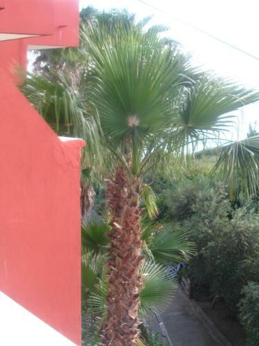 Motel Hotel Sch�nberg