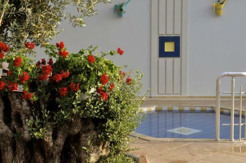 Magic Tulip Beach Hotel