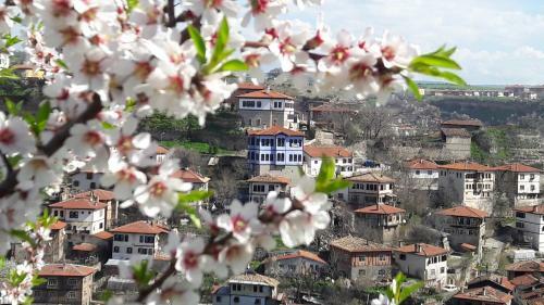 Demirkapi Konak Hotel