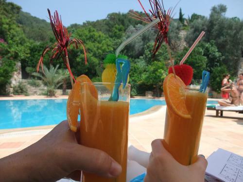 Paradise Garden Hotel