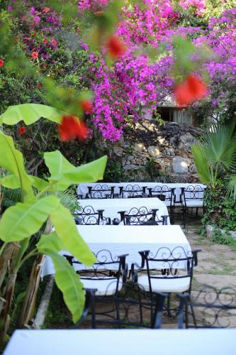 Paradise Garden Hotel