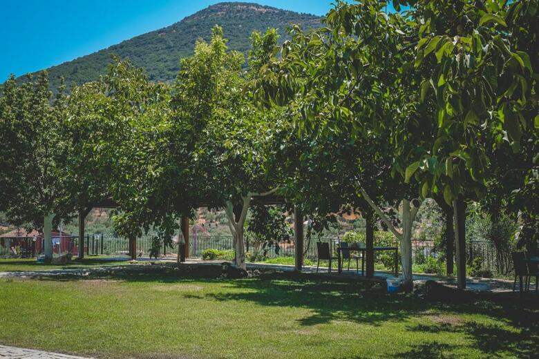 Apartamento Natureland Efes Pension
