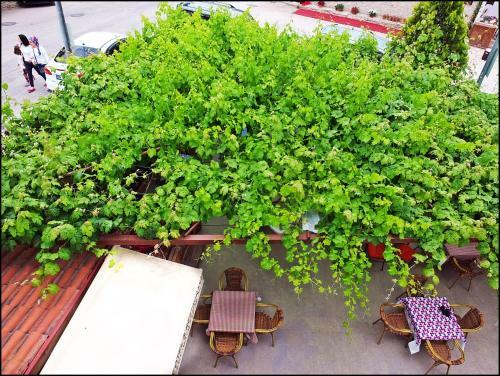 Apartamento Cakiroglu Konak