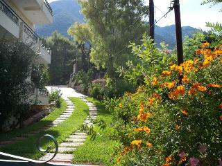 Aliki Hotel