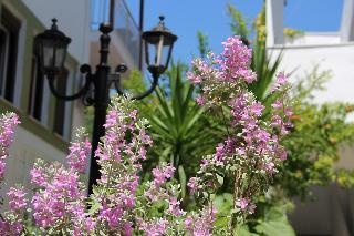 Elios Holidays Hotel