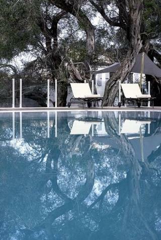 Hotel Torri E Merli Boutique