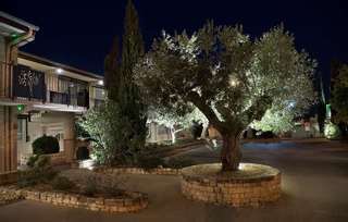 Hotel H�tel Terre de Provence, Le Pontet- Avignon