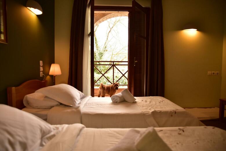 Hotel Mont Helmos
