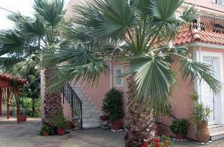 Apartamentos Katerina Studios