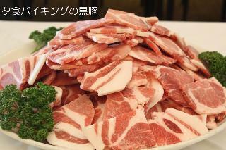 Hotel Kirishima Castle