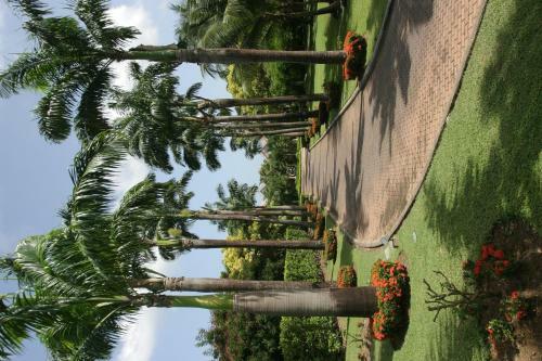 Hotel Coco Reef Resort & Spa