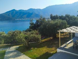 Hotel Celeste Golden Beach