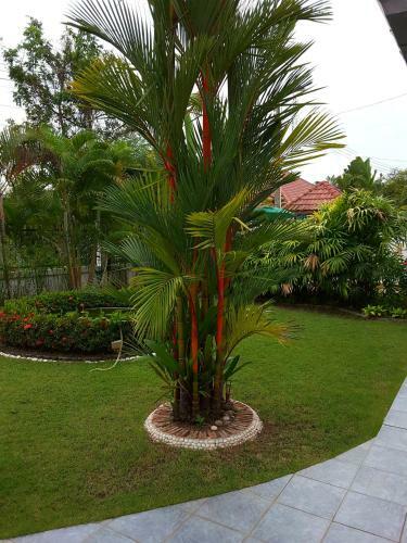 Little Paradise